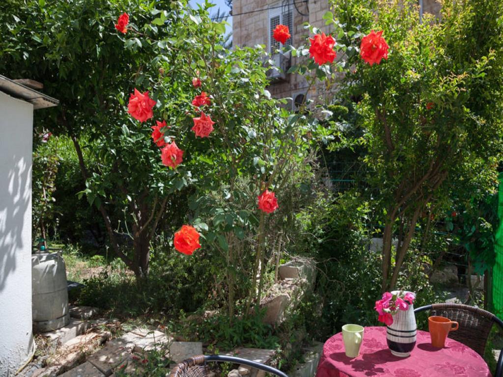 Alona'S Apartments Haifa Exterior photo